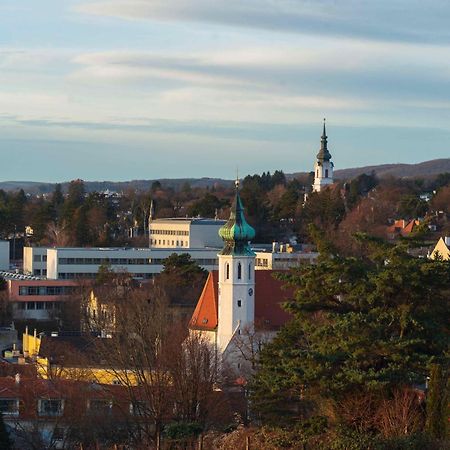 Herrlicher Ausblick Ueber Wien Eksteriør billede