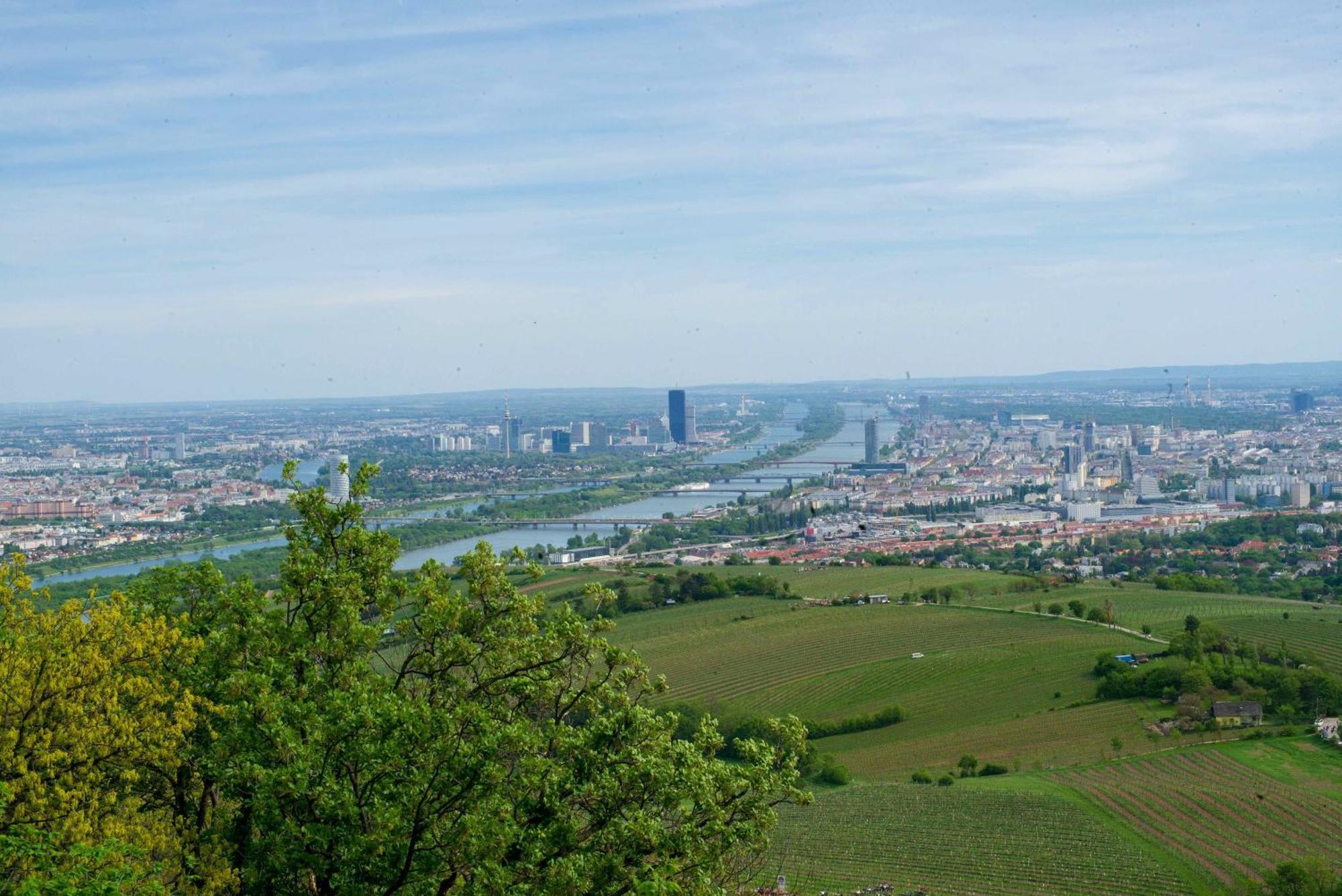Herrlicher Ausblick Ueber Wien Eksteriør billede